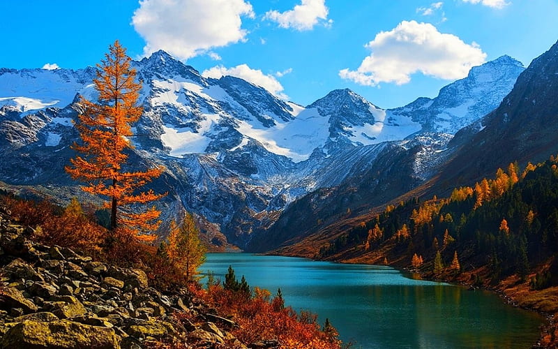 Altai Mountains, lakes, autumn, morning view, bonito, trees, clouds, Russia, mountains, forests, snowy peaks, HD wallpaper