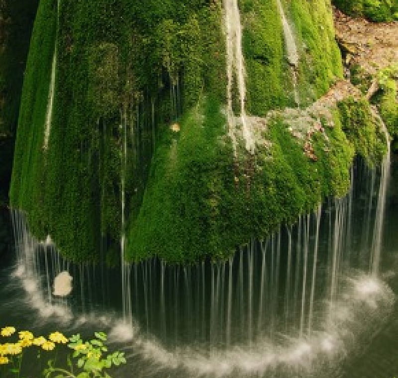 unique waterfall, nature, phenomenon, water, greenery, HD wallpaper