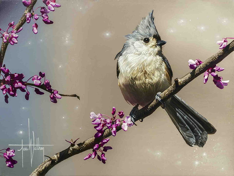 Efflorescence, twigs, bird, painting, blossoms, buds, sprin, artwork, HD  wallpaper | Peakpx