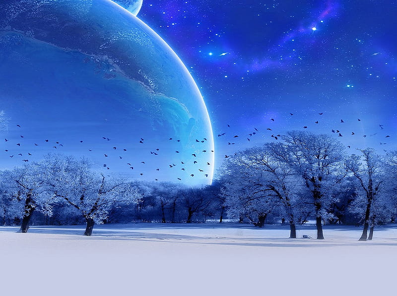 Universe Forest, forest, planets, snow, birds, animals, winter, HD ...