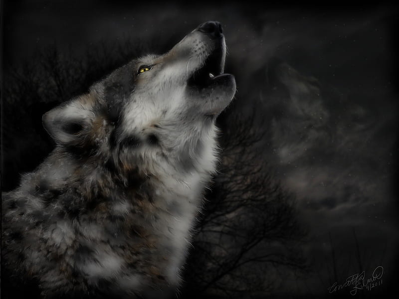 midnight s cry, insnow, friendship, pack, dog, art, lobo, arctic, black, abstract, winter, timber, snow, wolf , wolfrunning, wolf, white, lone wolf, howling, wild animal black, howl, bonito, canine, wolf pack, solitude, gris, the pack, mythical, majestic, spirit, canis lupus, grey wolf, nature, wolves, HD wallpaper