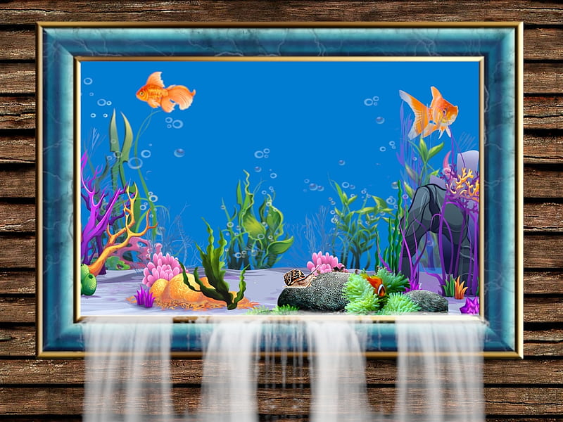 Aquarium Frame Waterfall, fish, Coral, Room, Waterfall, Aquarium, Nature, Water, Frame, Overflowing, Blue, Underwater, HD wallpaper