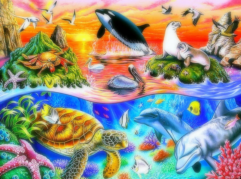★Beautiful Ocean★, sea life, colorful, oceans, scenic, panoramic view, attractions in dreams, most ed, seasons, paintings, dolphins, scenery, animals, turtles, underwater, flying birds, fishes, colors, love four seasons, creative pre-made, seals, paradise, summer, nature, HD wallpaper