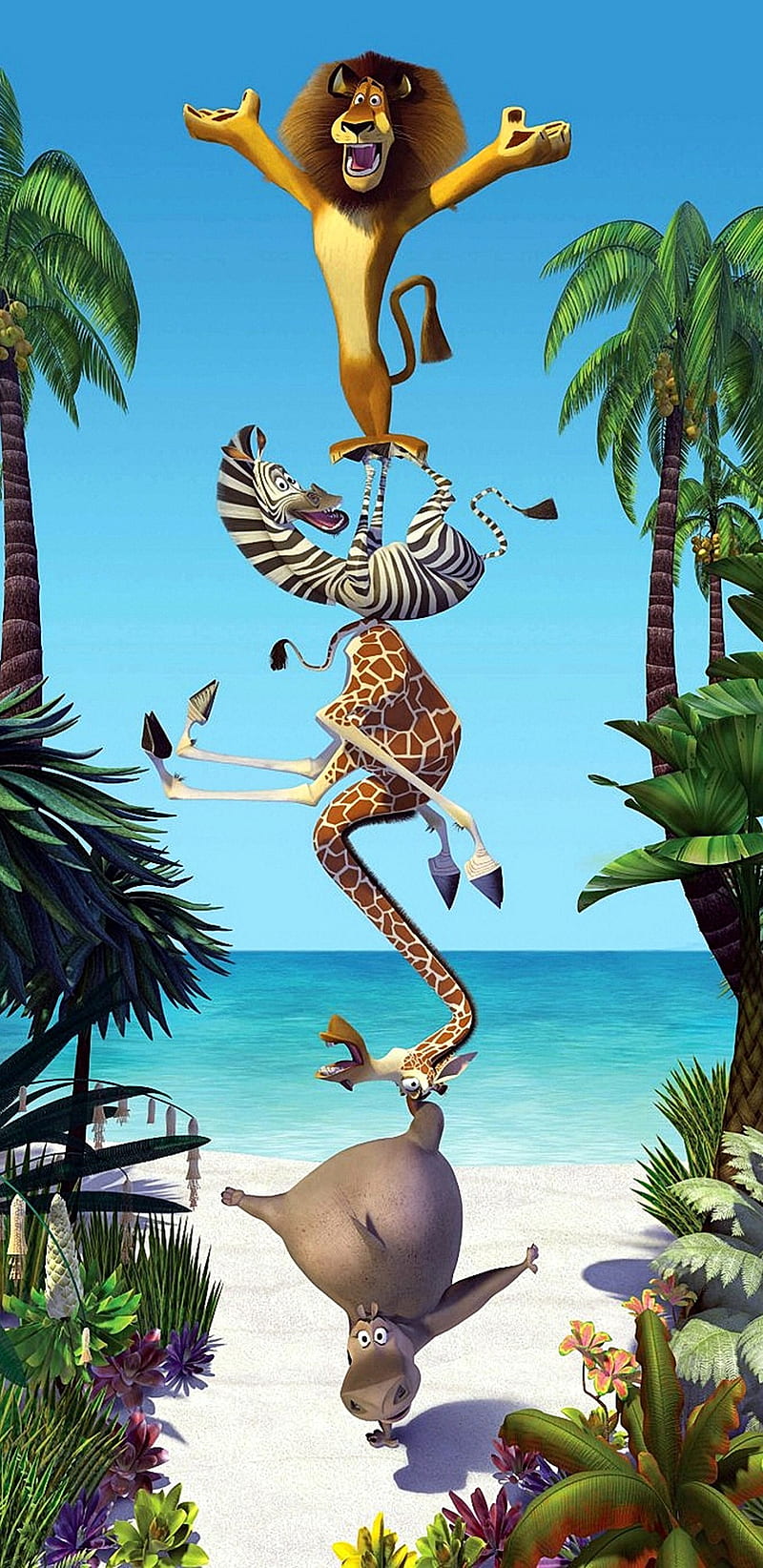 Madagascar, alex, animals, animation, beach, better than shrek, dreamworks, marty, movie, HD phone wallpaper