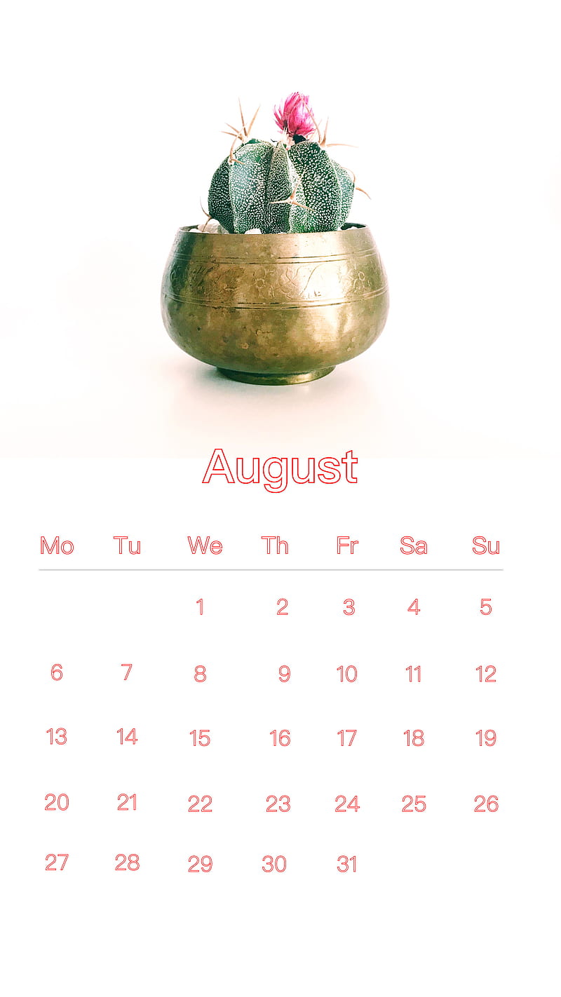 Cactus August, cal, calendar, augcal18, HD phone wallpaper
