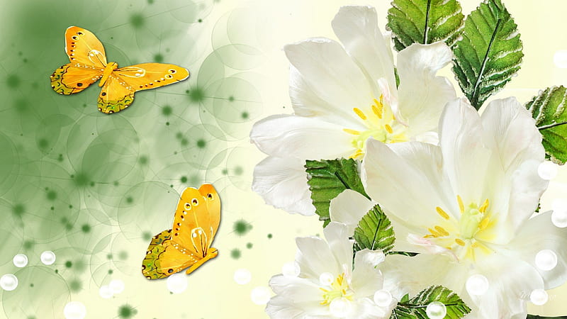 White Flowers Gold Butterflies, flowers, fragrant, summer, flowers, papillon, spackles, spring, butterflies, HD wallpaper