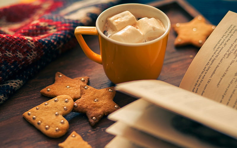 Afternoon, cookies, warm, cozy, chocolate, marshmallows, book, cup, HD wallpaper