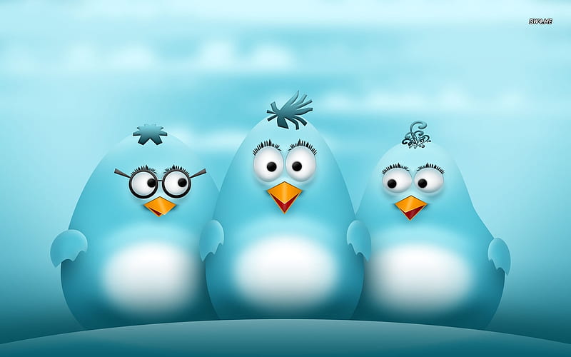 Three Little Blue Birds, birs, glasses, black, blue, three, HD wallpaper