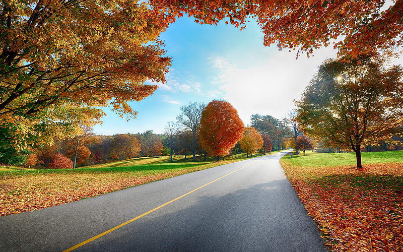 Late autumn road-Natural landscape, HD wallpaper