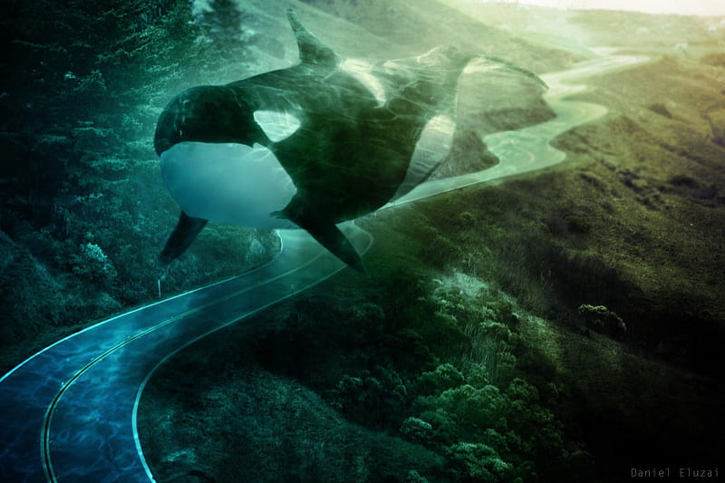 submerged, underwater, art, orca, ocean, abstract, fantasy, cool, whale, road, blue, HD wallpaper
