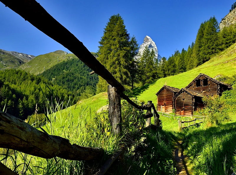 Wooden cottages on mountain slope, kills, fence, grass, cottage, bonito, mountain, green, path, cabins, blue, calmness, houses, greenery, sky, serenity, slope, peaceful, summer, nature, blue sky, wooden, HD wallpaper