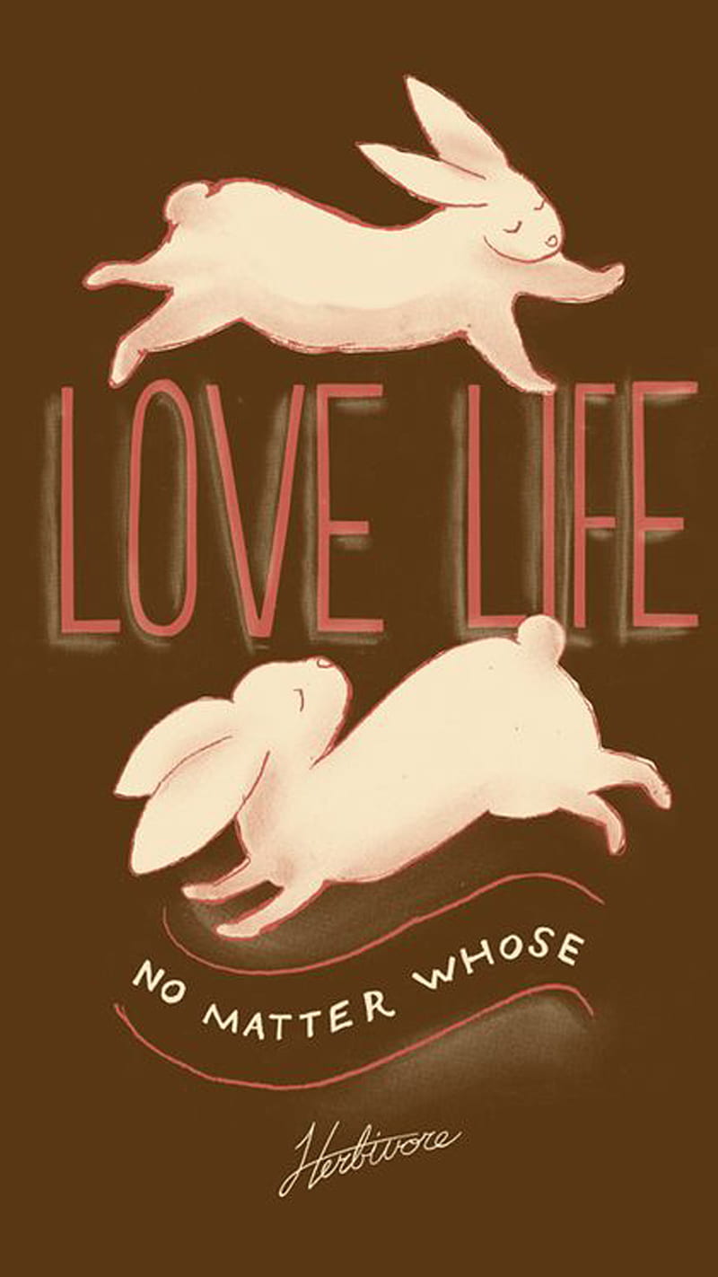 Love life, animals, bunny, conejo, cute, quotes, rabbit, vegan, vegano, vegetarian, vegetariano, HD phone wallpaper