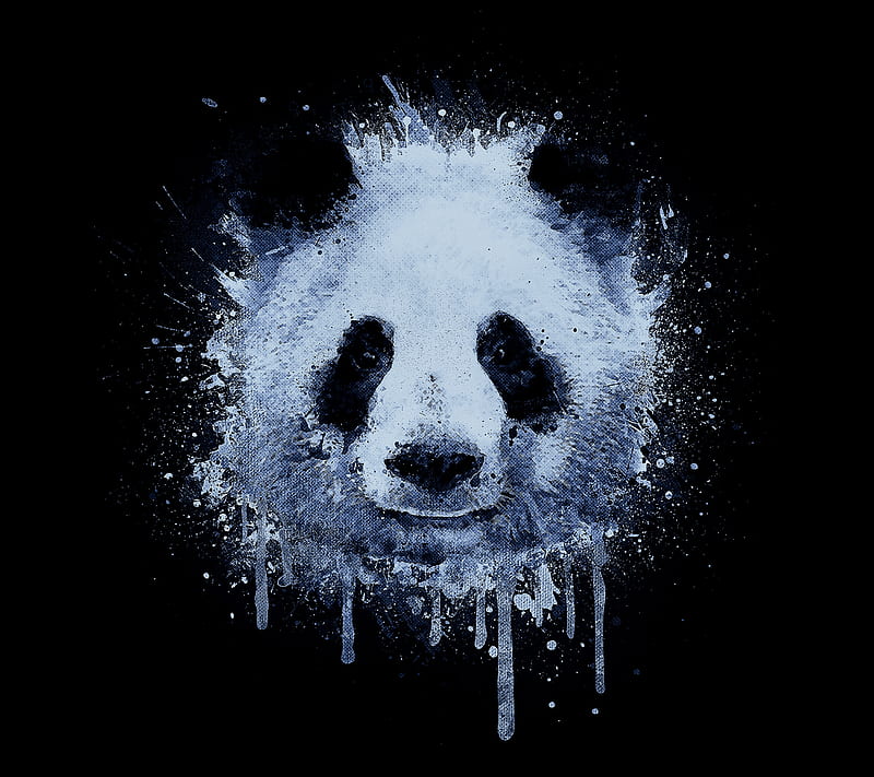Oso panda, rana, panda, fantasía, luminos, apofiss, oso, sombrero, Fondo de  pantalla HD | Peakpx