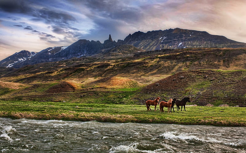 Landscape, grass, bonito, clouds, graphy, green, wild, creeks, river, animals, rivers, hills, colors, sky, horse, horses, living, range, valley meadow, mountains, nature, HD wallpaper