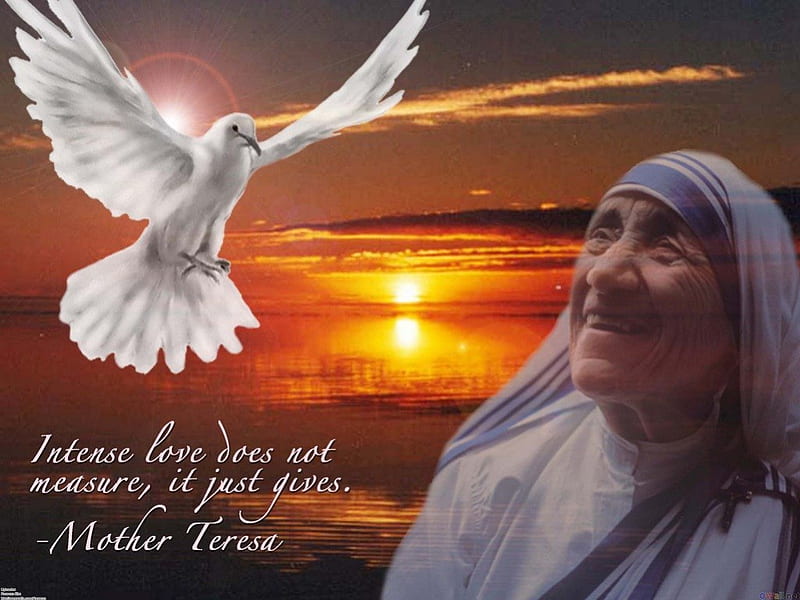 Mother Teresa, humble, humanitarian, love, giving, dove, peace, HD wallpaper