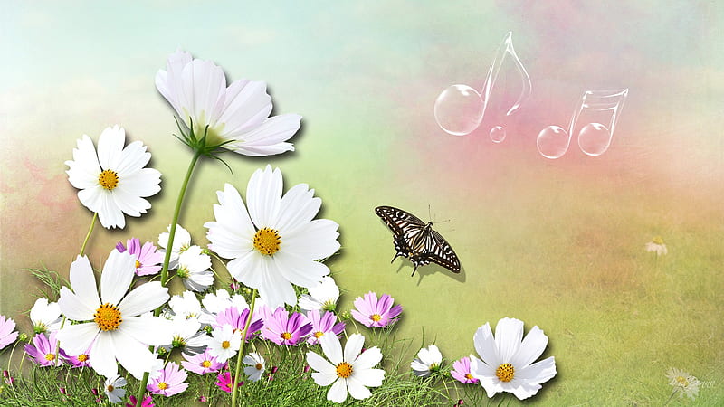 Song of Summer, summer, flowers, spring, music notes, delicate, pink, blue, HD wallpaper