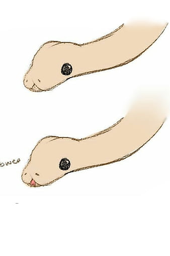 Cute snake set by Sofía ilustrada on Dribbble