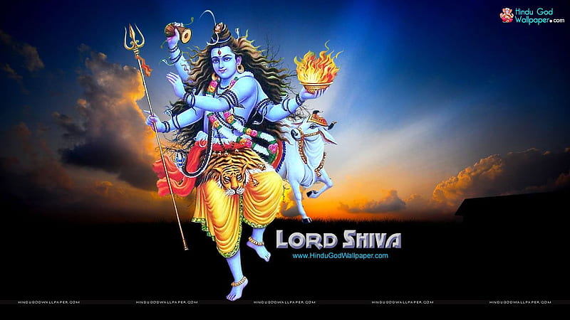 Lord Shiva Tandav . Lord shiva , Shiva , Lord shiva, Shiv Sankar, HD wallpaper
