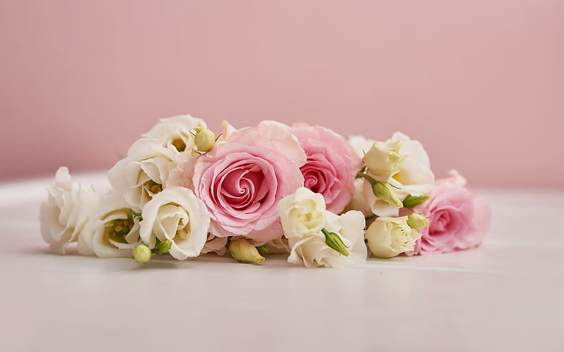 bunch of pink roses wallpaper