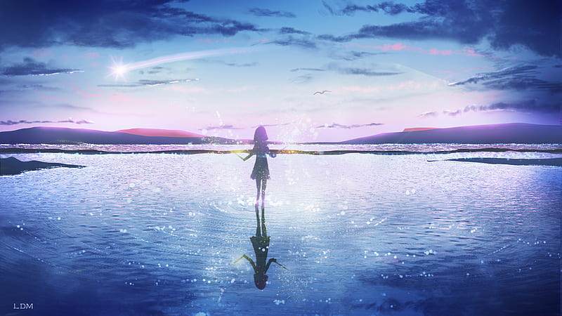 Anime, Original, Girl, Sky, Water, Meteor, HD wallpaper | Peakpx