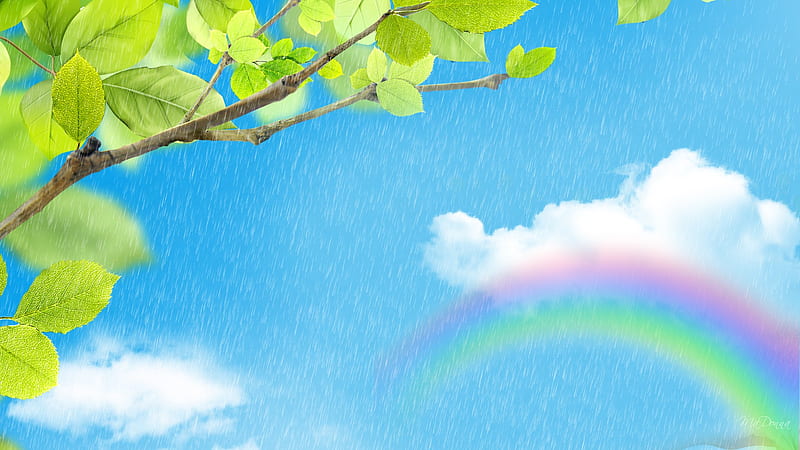 Rainbow and Rain, spring, rainbow, sky, clouds, tree, leaves, bright, summer, rain, HD wallpaper