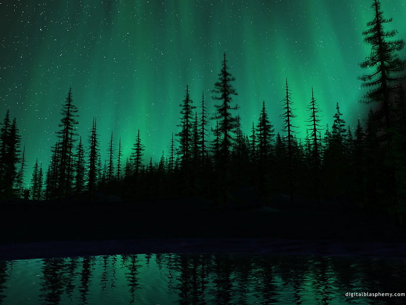 Aurora borealis ( Northern lights), forest, borealis, aurora, northern, siberia, lights, HD wallpaper