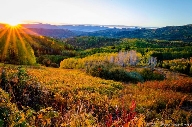 Steamboat Springs, Colorado, forest, hills, fall, sun, colors, trees, landscape, HD wallpaper