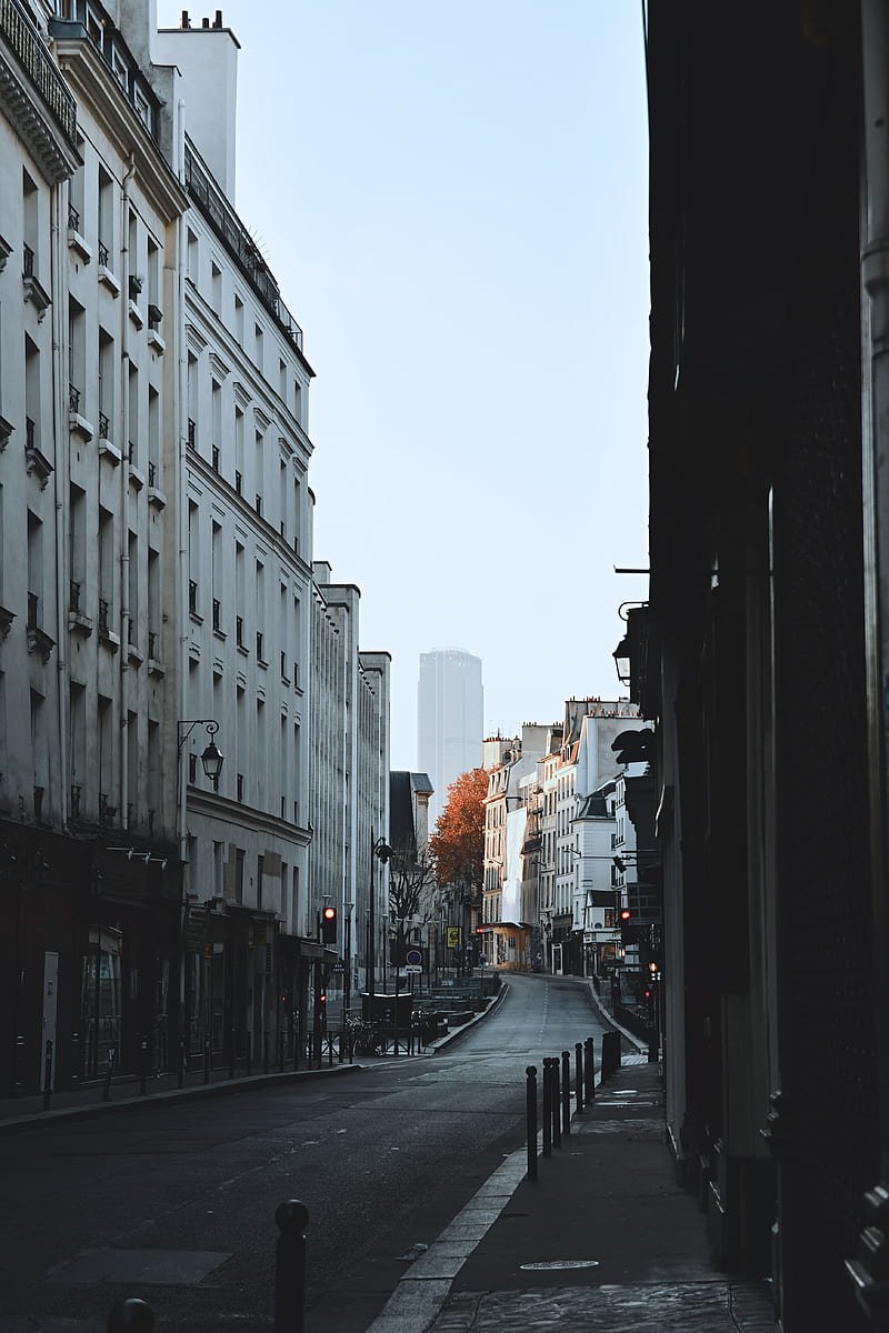street, city, buildings, road, empty, HD phone wallpaper