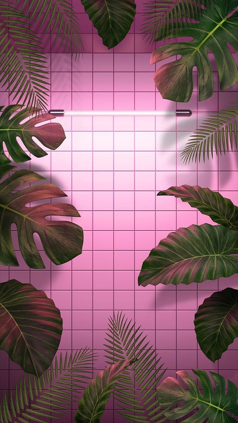 Green And Pink Aesthetic Wallpapers  Wallpaper Cave