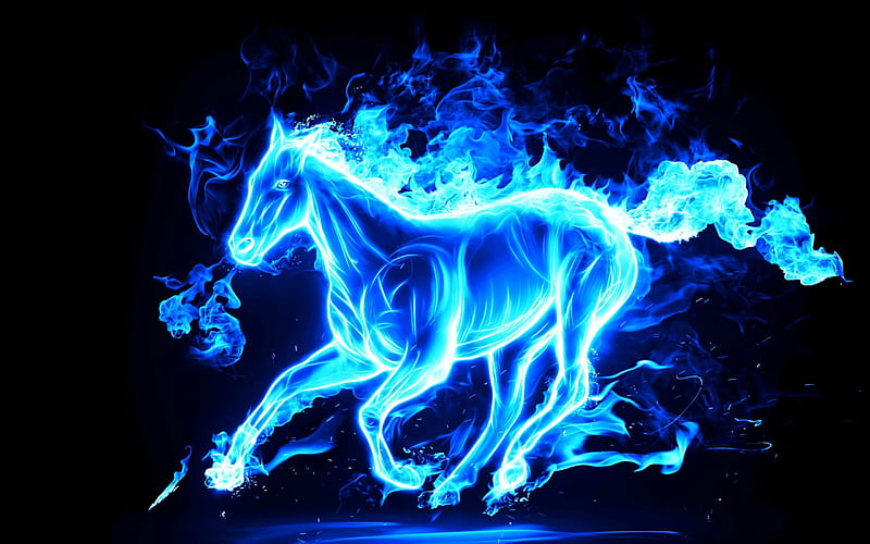 horse, neon horse, blue horse, fiery horse, HD wallpaper