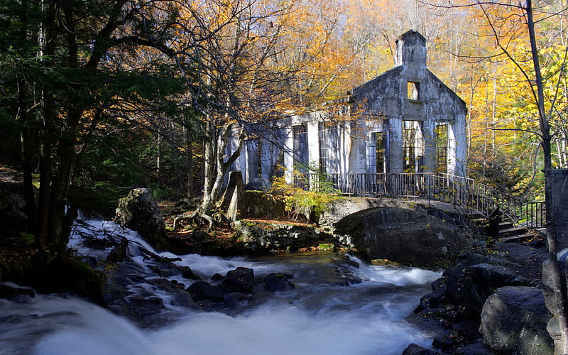 Old Carbide Mill, architecture, forest, mill, river, bonito, abandoned, HD wallpaper