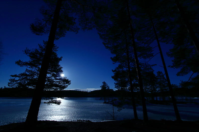 trees, night, lake, distance, sky, norway, HD wallpaper
