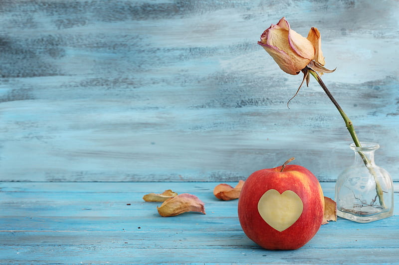 apple, grpahy, rose, heart, bonito, petals, wood, blue, HD wallpaper