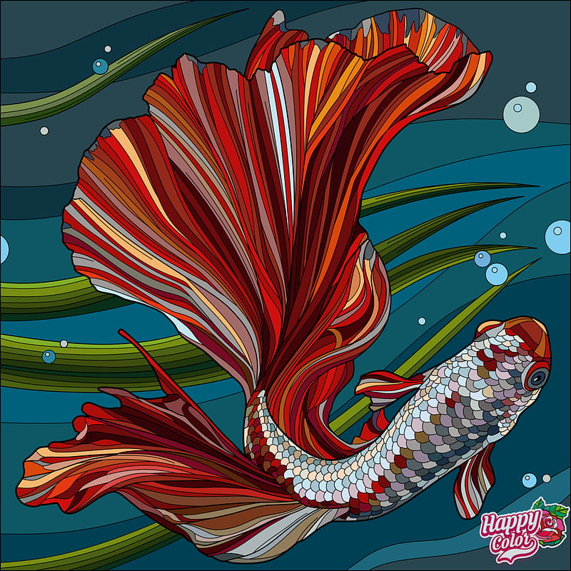 Betta long fin, fish, marine, HD phone wallpaper