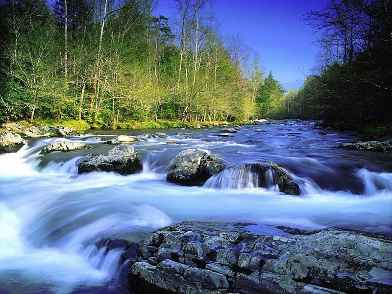 Little Pigeon River ~ Great Smoky Mountains, water, mountains, nature, river, trees, HD wallpaper
