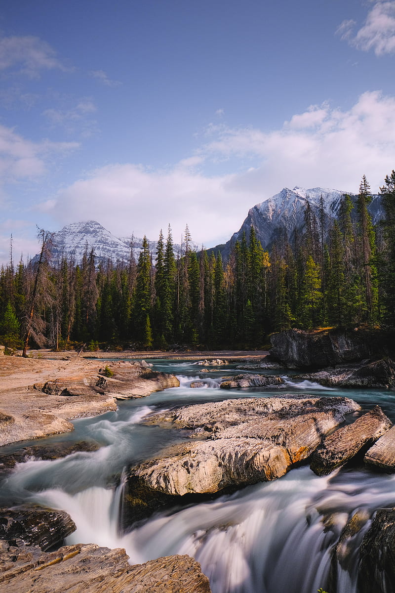 stones, stream, trees, mountains, HD phone wallpaper