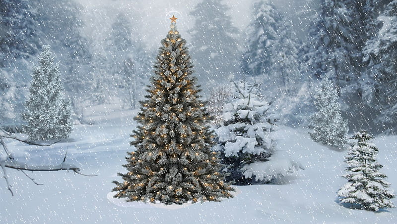 Christmas Tree, forest, wonderful, snoflakes, christmas, holiday, bonito, new year, lights, winter, snowflake, graphy, snow, nature, HD wallpaper