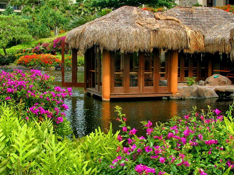 Hawaii, hut, house, shore, grass, cottage, cabin, bonito, nice, calm, flowers, rest, forest, quiet, exotic, lovely, relax, place, lake, pond, water, paradise, summer, nature, HD wallpaper