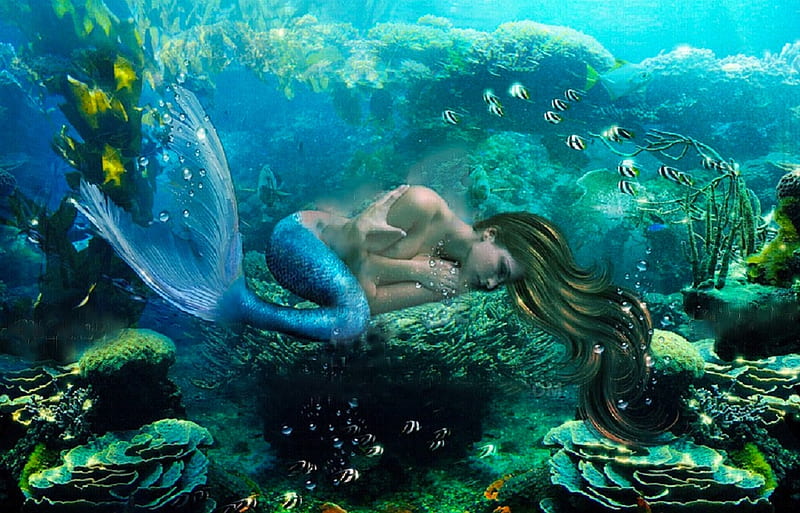 Sweet Dreams, female, fantasy, girl, mermaid, digital, siren, woman, art, pretty, bonito, HD wallpaper