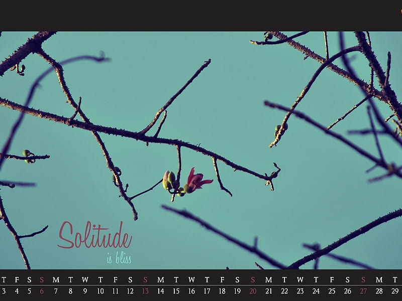 solitude-May 2012 calendar, HD wallpaper