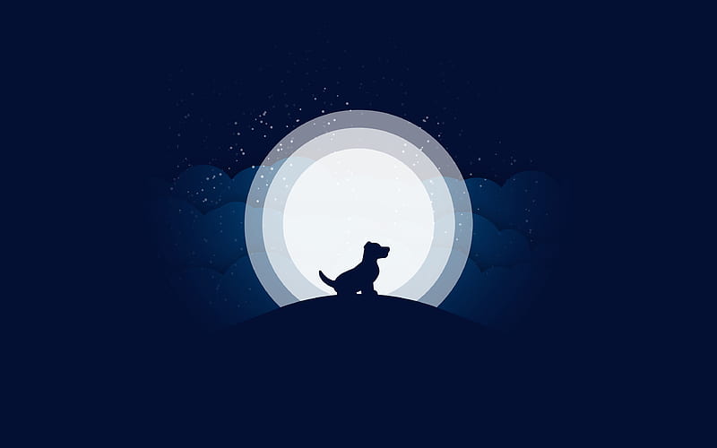 moon, dog, night, digital art, HD wallpaper