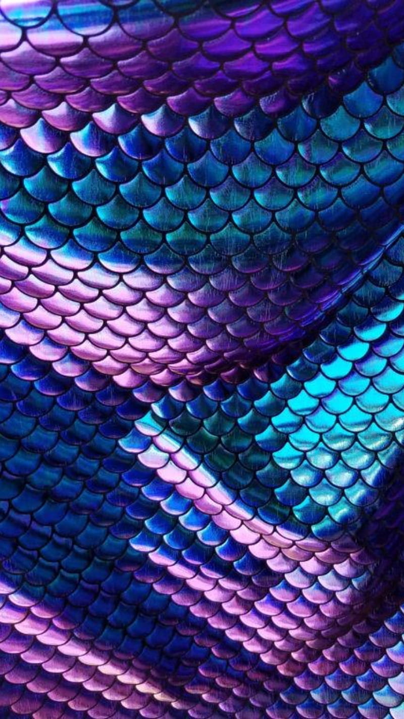 Snake skin, blue, fish, mermaid, purple, scale, scales, HD phone wallpaper  | Peakpx