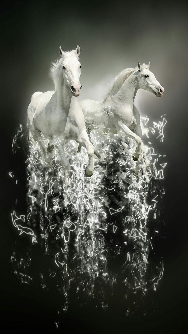 7 White Horse, running horse, HD phone wallpaper