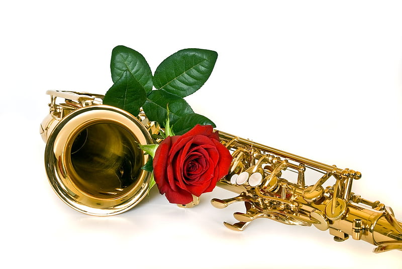 sax red, jazz, romantic, rose, bonito, still life, graphy, nice, cool, flower, saxophone, harmony, HD wallpaper