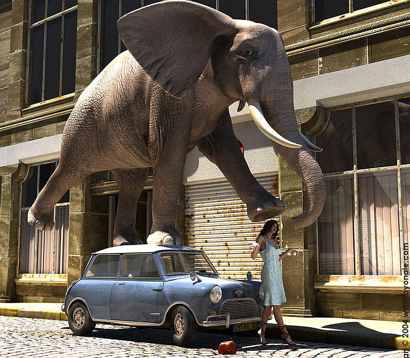 Artwork 3d Elephant Car Funny Woman Hd Wallpaper Peakpx