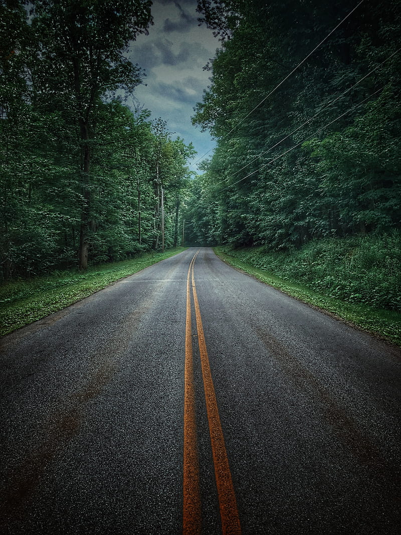 Road less traveled, green, nature, new york, peaceful, quiet, road, roads, travel, trees, upstate, HD phone wallpaper