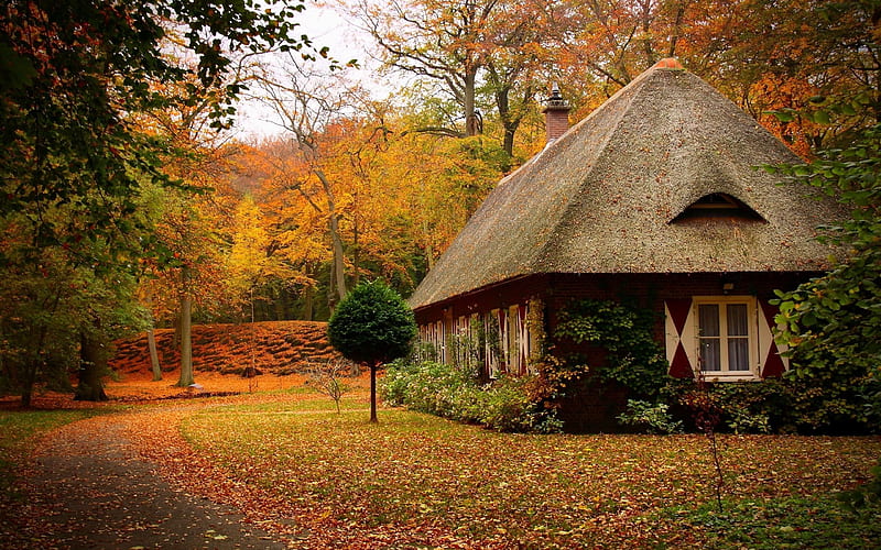 Cosy home, autumn, nice, house, orange, path, village, trees, HD wallpaper