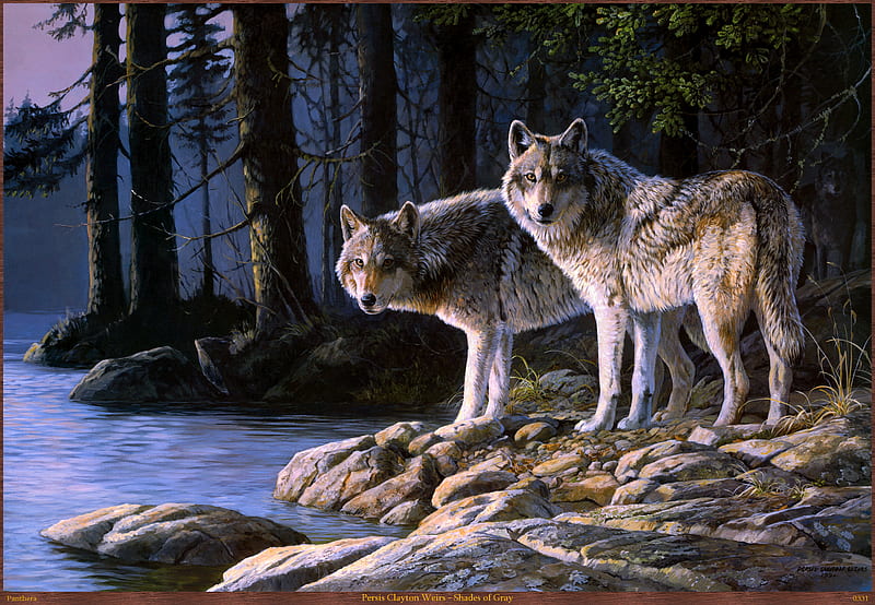By Persis Clayton Weirs, persis clayton, art, painting, nature, wolf, animal, HD wallpaper