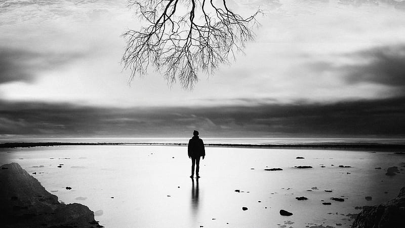 Tree Of Life, graphy, tree, person, monochrome, black-and-white, HD wallpaper