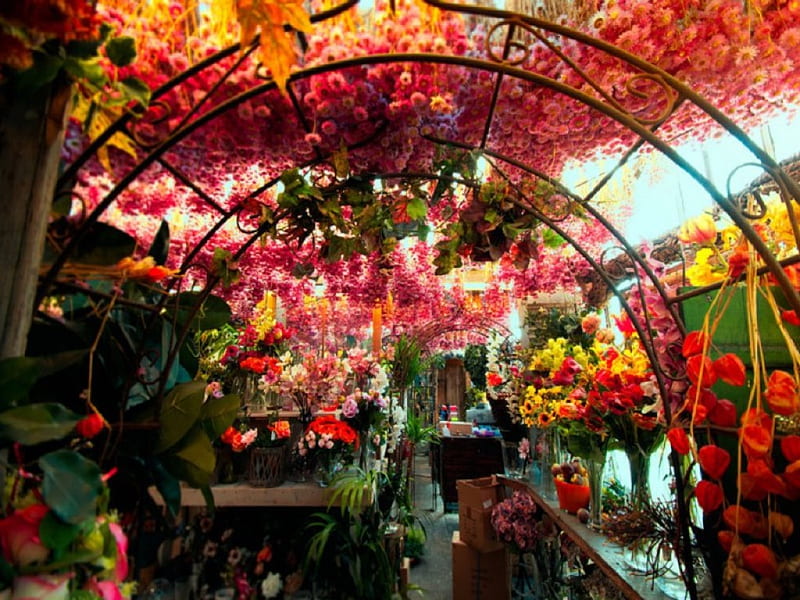 Flower Shop, colorful, lovely, bonito, sky, arches, vases, bright, flowers, carts, HD wallpaper